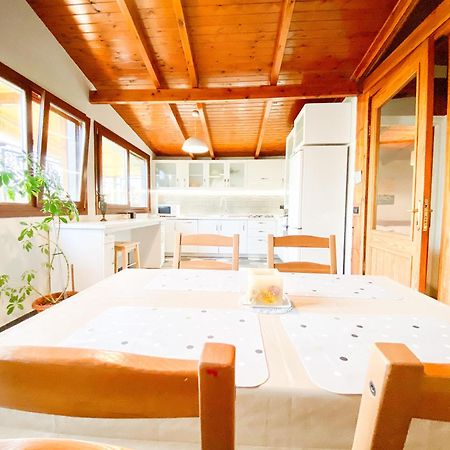 Tirana Experience, Authentic Stays In The Heart Of Old Tirana Kültér fotó